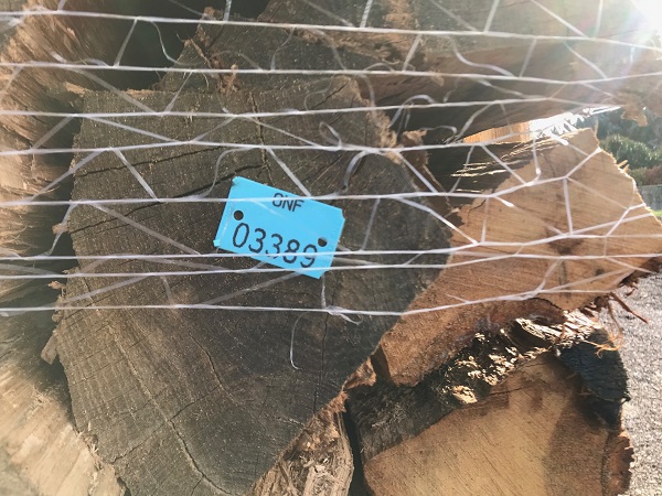 Brennholz aus Weißeiche 50 cm trocken auf Palette — Foto 4