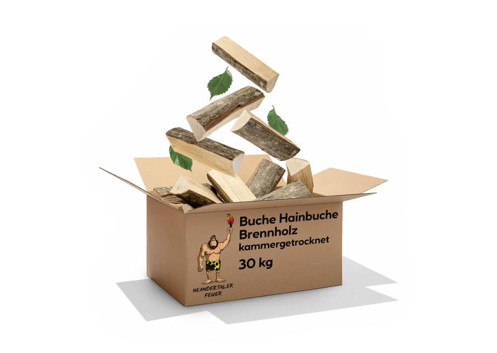 Brennholz Buche Hainbuche 150kg — Foto 2